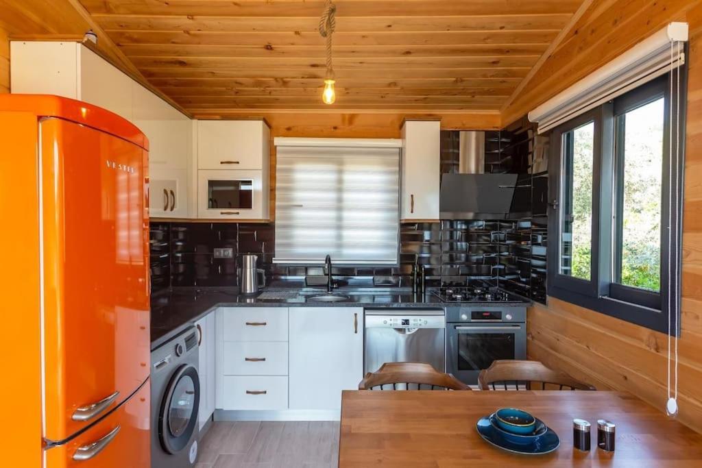 Villa Zeytin Havuzlu Jakuzili Fethiye Ngoại thất bức ảnh